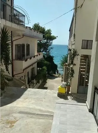 Crisvan